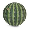 Sitting Point Chaises De Bureau Balle D'assise Motif Cactus Avec Poignée Polyester D65 -Bancs Soldes balle d assise motif cactus avec poignee polyester d65