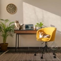 Zago Chaises De Bureau Chaise De Bureau Tissu Soft Touch Moutarde -Bancs Soldes chaise de bureau tissu soft touch moutarde 3